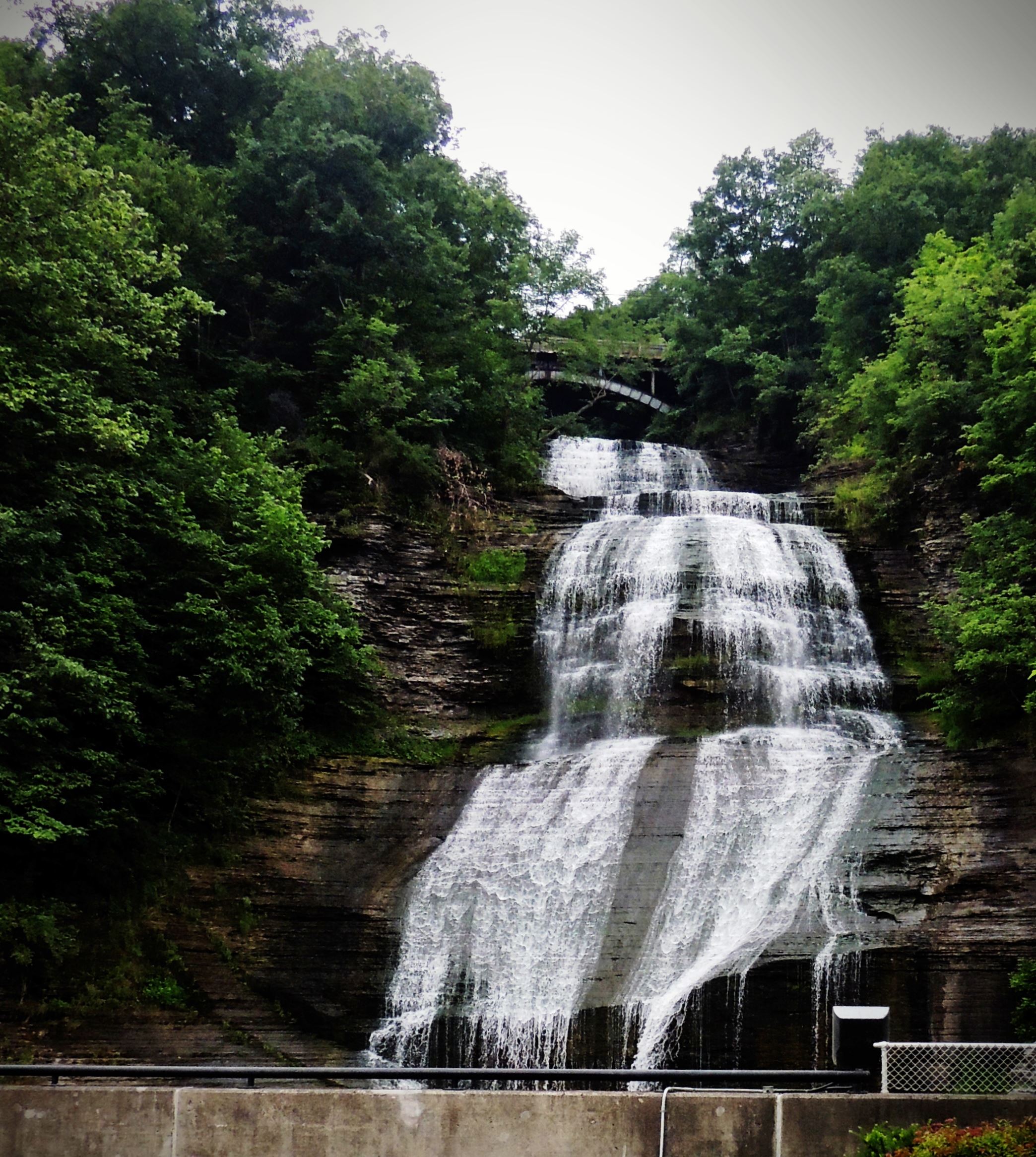 Taken by Lisa Eccleston